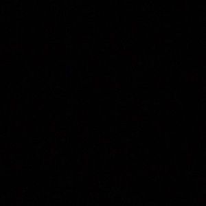 Meet your Posher, Bryce